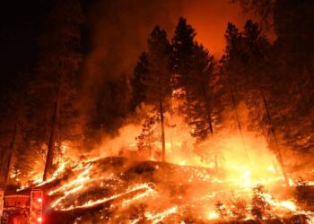 د کلفورنیا د اورلګېدنې د مړو شمېر ۷۷ ته پورته شو