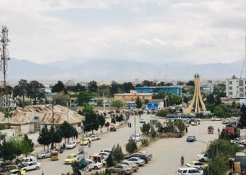 بلخ کې د برېښنايي پېژندپاڼو وېش لړۍ یو ځل بیا پيل شوه 