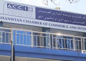 سوداګرۍ او پانګونې خونه: د تازه مېوې صادراتو کې ۲۵ سلنه زیاتوالی راغلی