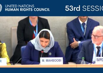 مدینه محبوبي: د افغانستان وضعیت یوازینۍ حل لار له سرپرست حکومت سره تعامل دی