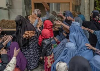 فارن پالیسي: اسلامي امارت بشري مرستو کې لاسوهنه کوي