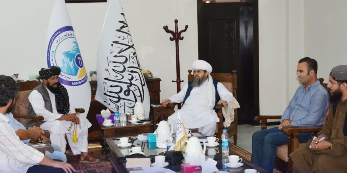 ترکي پانګه والو د افغانستان کانونو کې پانګونې ته لېوالتیا ښودلې