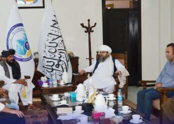 ترکي پانګه والو د افغانستان کانونو کې پانګونې ته لېوالتیا ښودلې