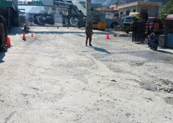 افغان سوداګر: پاکستان په قصدي ډول د افغانستان تازه میوو موسم پر مهال لويې لارې بندوي