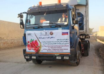 د ریاست الوزرا اقتصادي مرستیالي: روان کال د ۴۹ میلیارده افغانیو په ارزښت صادرات شوي