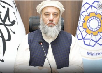 د صنعت او سوداګرۍ وزارت سرپرست وزیر پر مشرۍ یو پلاوی چین ته ځي