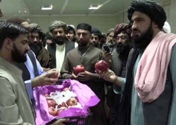 کندهار کې له پاکستانه یو شمېر راستنو شویو افغان کډوالو ته کارخونې وښودل شوې