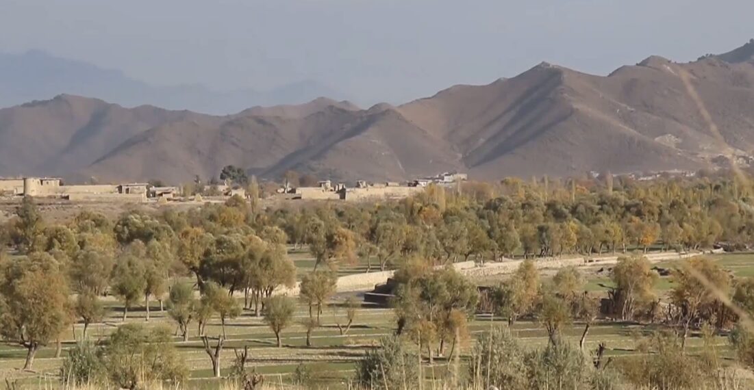 د پکتیا ډنډې پټان ولسوالۍ اوسېدونکي له حکومته د کرکیلې برخه کې د همکارۍ غوښتنه کوي