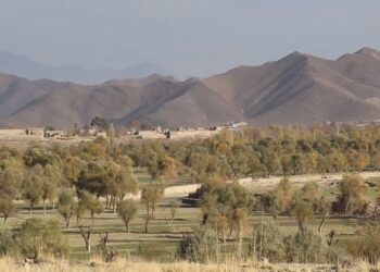 د پکتیا ډنډې پټان ولسوالۍ اوسېدونکي له حکومته د کرکیلې برخه کې د همکارۍ غوښتنه کوي