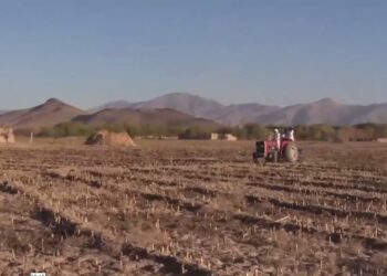 د کندهار اوسېدونکي د باغونو او کروندو برخه کې د مسلکي روزنې غوښتنه کوي