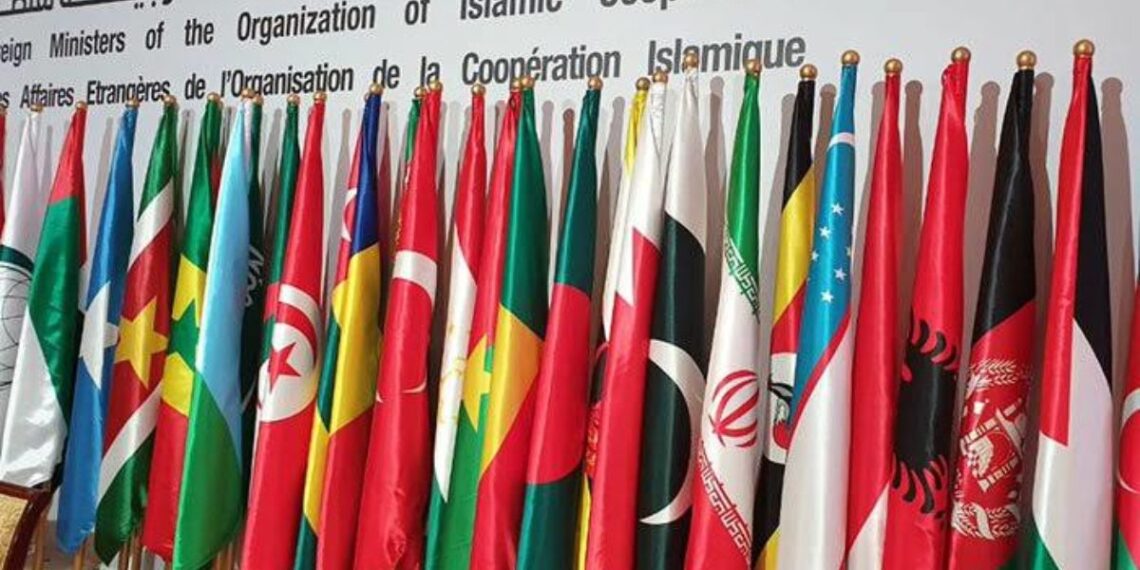 اسلامي همکاریو سازمان د افغانستان په تړاو نږدې راتلونکي  کې ناسته جوړوي