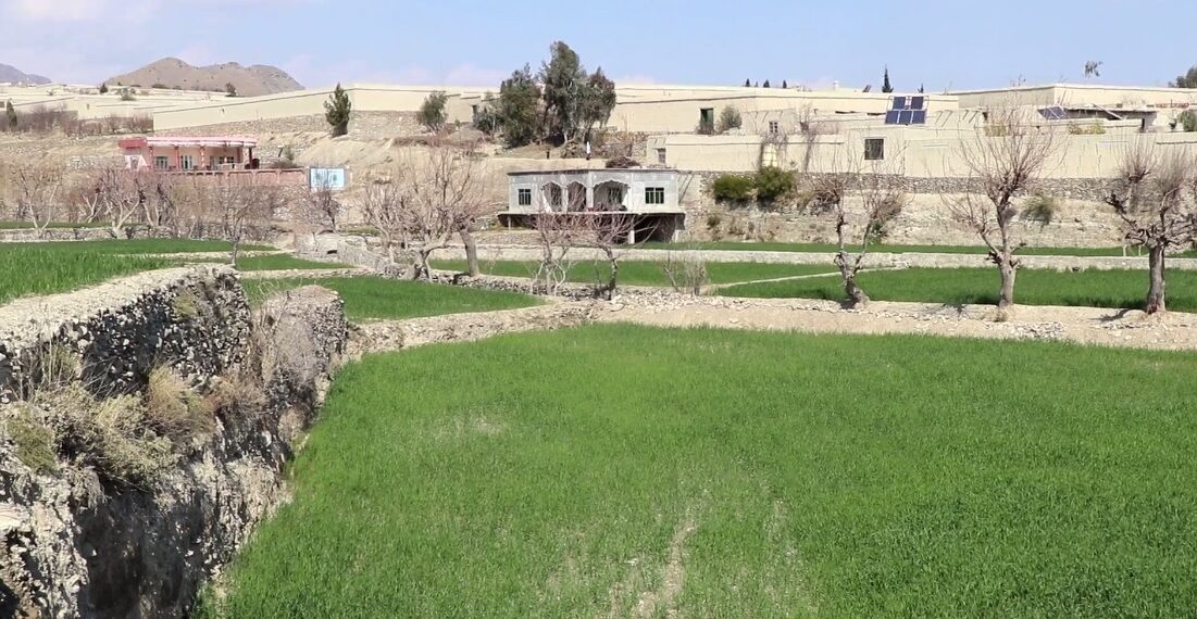 د خوست نادر شاه کوټ ولسوالۍ اوسېدونکي د روغتیايي او تعلیمي خدماتو غوښتنه کوي