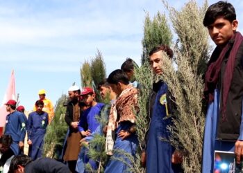 خوست کې د نیالګیو کېنولو کلتوري میلې نهم پړاو پیل شو