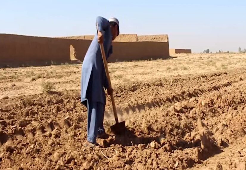 د کندهار بزګر د شنو خونو جوړولو غوښتنه کوي