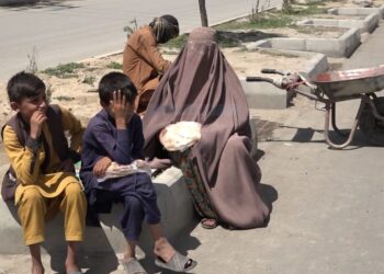 د لوېديځو ولایتونو اوسېدونکي د نړیوالو بشري مرستو د دوامداره کېدو غوښتنه کوي