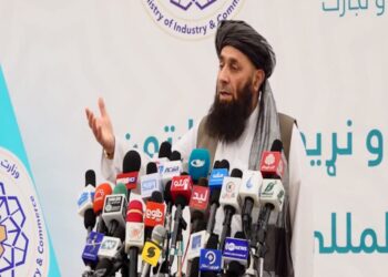عثماني: د چرګانو غوښې توليد برخه کې پر ځان بساينې ته نږدې شوي یو