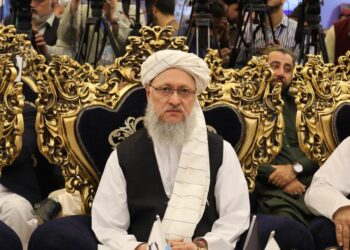 حنفي: د کورنیو او بهرنیو پانګه والو پانګونې له امله نسبي اقتصادي ثبات رامنځته شوی