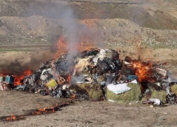 غزني کې دوه ټنه نشه‌یي توکي وسوځول شول