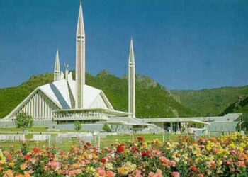 کارپوهان: د پاکستان پوځ غواړي له ټي‌ټي‌پي سره د جګړې په پلمه پښتانه فعالان او سياسیون ووژني