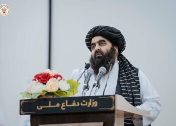 چارواکي: د اقتصادي ودې لپاره له نړۍ سره تعامل او مثبتې اړیکې جوړول مهم دي