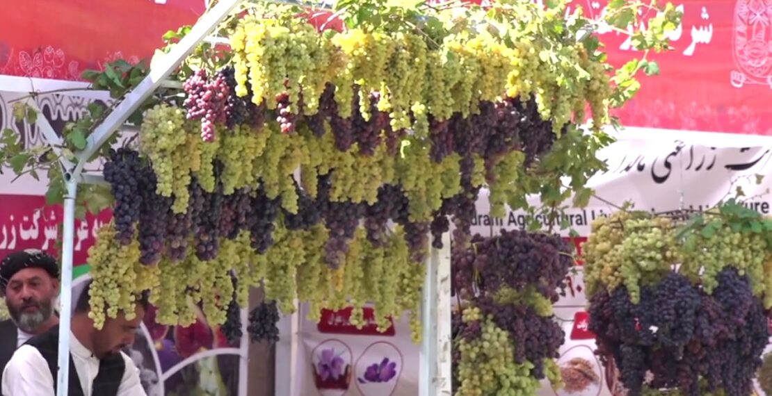 هرات کې له کروندګرو د ملاتړ نندارتون پرانيستل شو