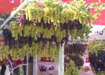 هرات کې له کروندګرو د ملاتړ نندارتون پرانيستل شو