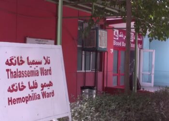 سوېلي زون کې د وینې پر سرطان د اخته کسانو شمېر زیات شوی