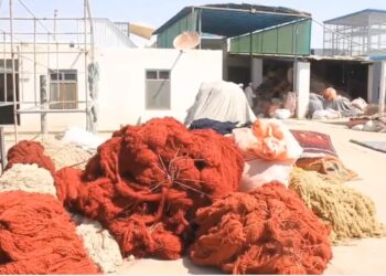 له جوزجانه هره میاشت زرګونه متره مربع افغاني غالۍ بهر ته صادرېږي