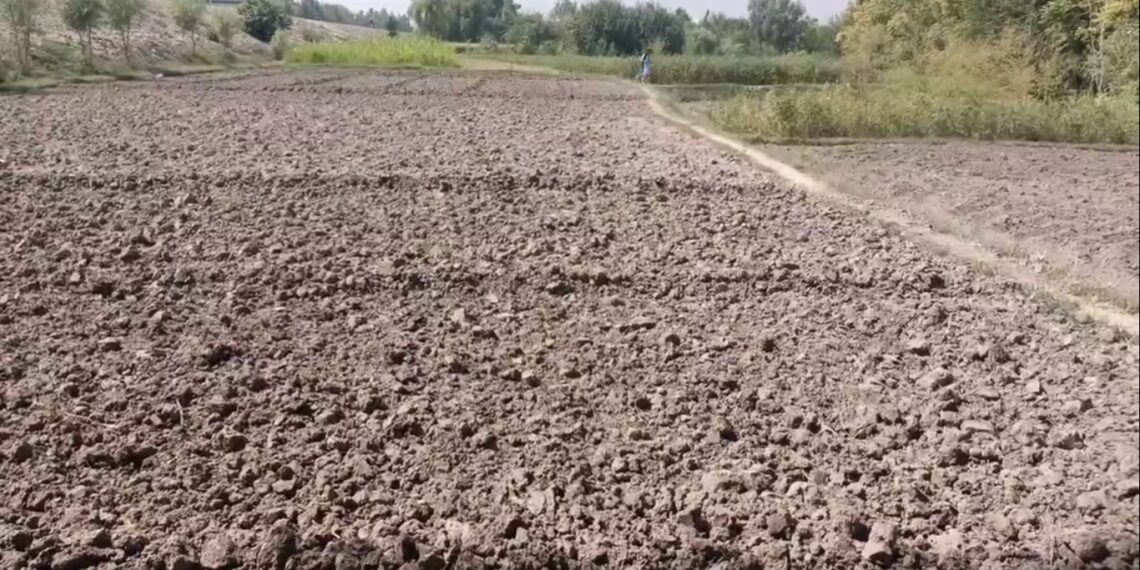 کابل سیند کې د اوبو کمښت؛ ختیځو ولایتونو کې فصلونه د وچېدو له ګواښ سره مخ دي