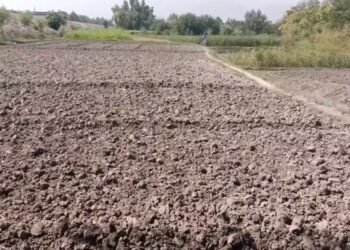 کابل سیند کې د اوبو کمښت؛ ختیځو ولایتونو کې فصلونه د وچېدو له ګواښ سره مخ دي