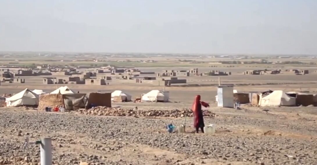 را ستنې شوې کورنۍ: ایران او پاکستان مو شتمنۍ ضبط کړې