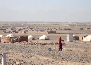 را ستنې شوې کورنۍ: ایران او پاکستان مو شتمنۍ ضبط کړې