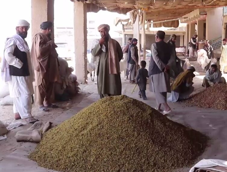 له کندهاره تېرو پنځو میاشتو کې ۱۳ زره ټنه وچه مېوه بهر ته صادر شوې