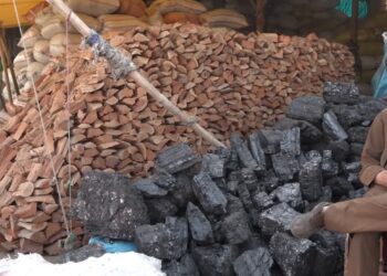 کابل ښاریان: د سون توکو بیې د تېر کال پرتله لوړې شوې