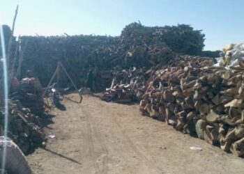 د ژمي رانږدې کېدل؛ خلک د سون توکو بیو له لوړوالي شکایت کوي