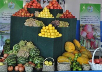 اقتصادي مرستیالي: روان کال  د څه با ندې ۷۰۰ ميليونه ډالرو په ارزښت کرنيز محصولات بهر ته صادر شوي