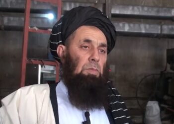 په کندهار کې د کرنیزو محصولاتو د ملاتړ او بازار موندنې پروګرام پیل شو