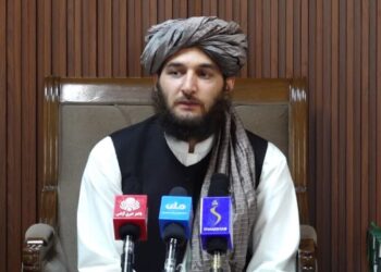 حقمل: هڅه کوو اطلاعاتو ته د لاسرسي برخه کې ستونزې حل کړو