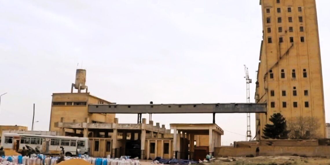 د بلخ سيلو د غنمو زېرمه کول بیا پیل کړل