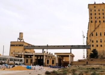 د بلخ سيلو د غنمو زېرمه کول بیا پیل کړل