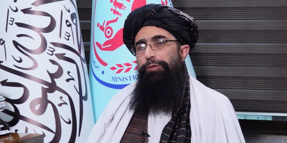 حقاني: تېر کال ۲۸ زره نامستحقې کونډې، یتیمان او معلولین له ډېټابیس ایستل شوي