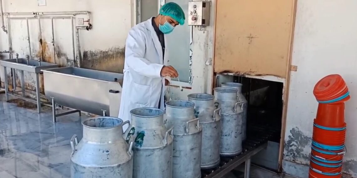 ننګرهار د لبنیاتو برخه کې ځان بسیاینې ته نږدې شوی