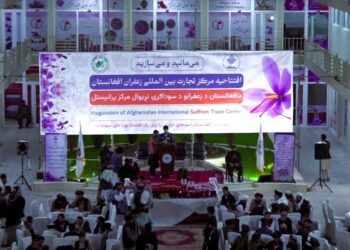 هرات کې د افغان زعفرانو نړیوال سوداګریز مرکز پرانیستل شو