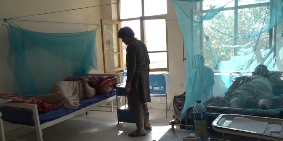 ننګرهار کې د ډینګي ناروغي زیاته شوې
