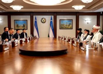 حنفي له ازبېک چارواکو سره د دوه اړخیزو اړیکو پیاوړتیا په تړاو خبرې کړې