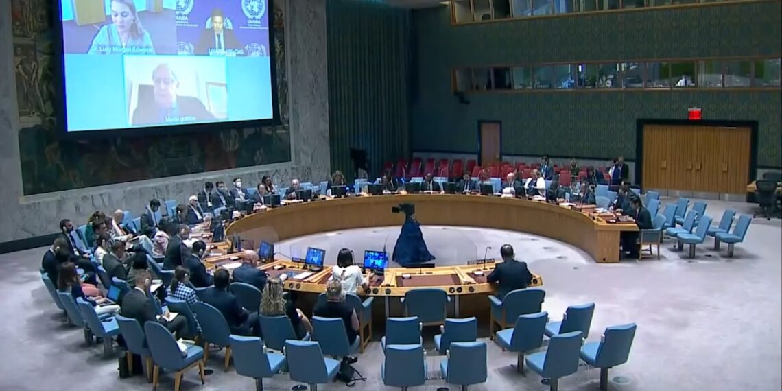 امنيت شورا يوځل بیا د اسلامي امارت پر تګلارو اندېښنه ښودلې