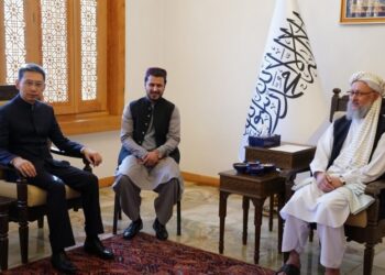 له چین د حنفي غوښتنه؛ د برېښنا او روغتیا برخو کې همکاري وکړئ