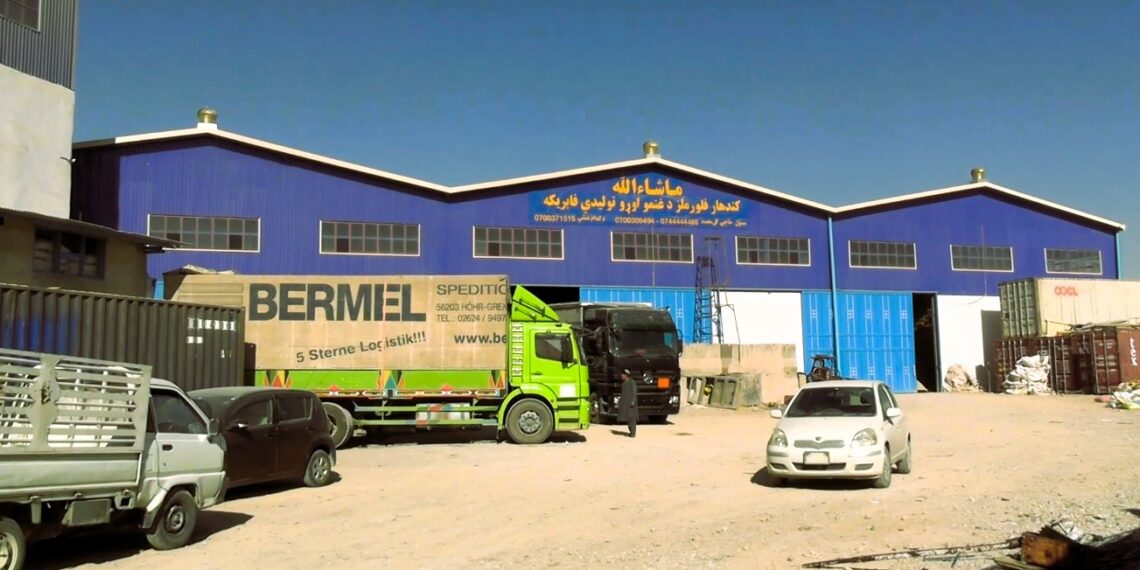 کندهار کې له کورنیو غنمو د اوړو تولیدولو کچه لوړه شوې