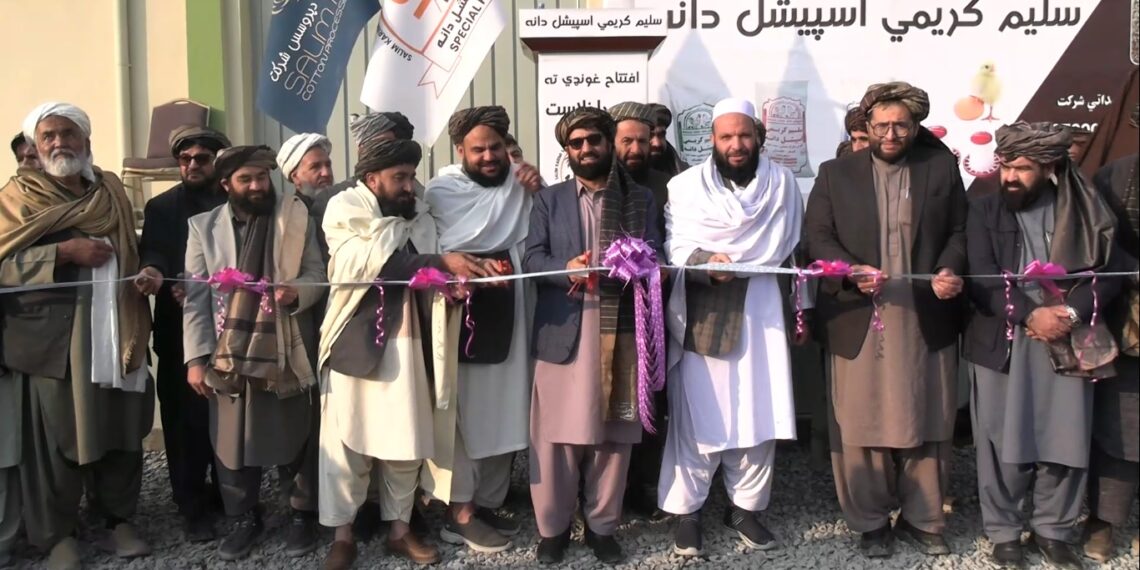 کمین زاده: افغانستان د حیواني دانې او چرګانو غوښې تولید کې پر ځان بسیا شوی