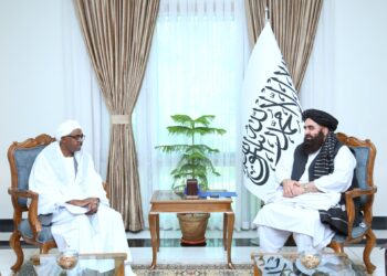 د اسلامي همکاریو سازمان د افغانستان ملاتړ ته د دوام ورکولو ډاډ ورکړ